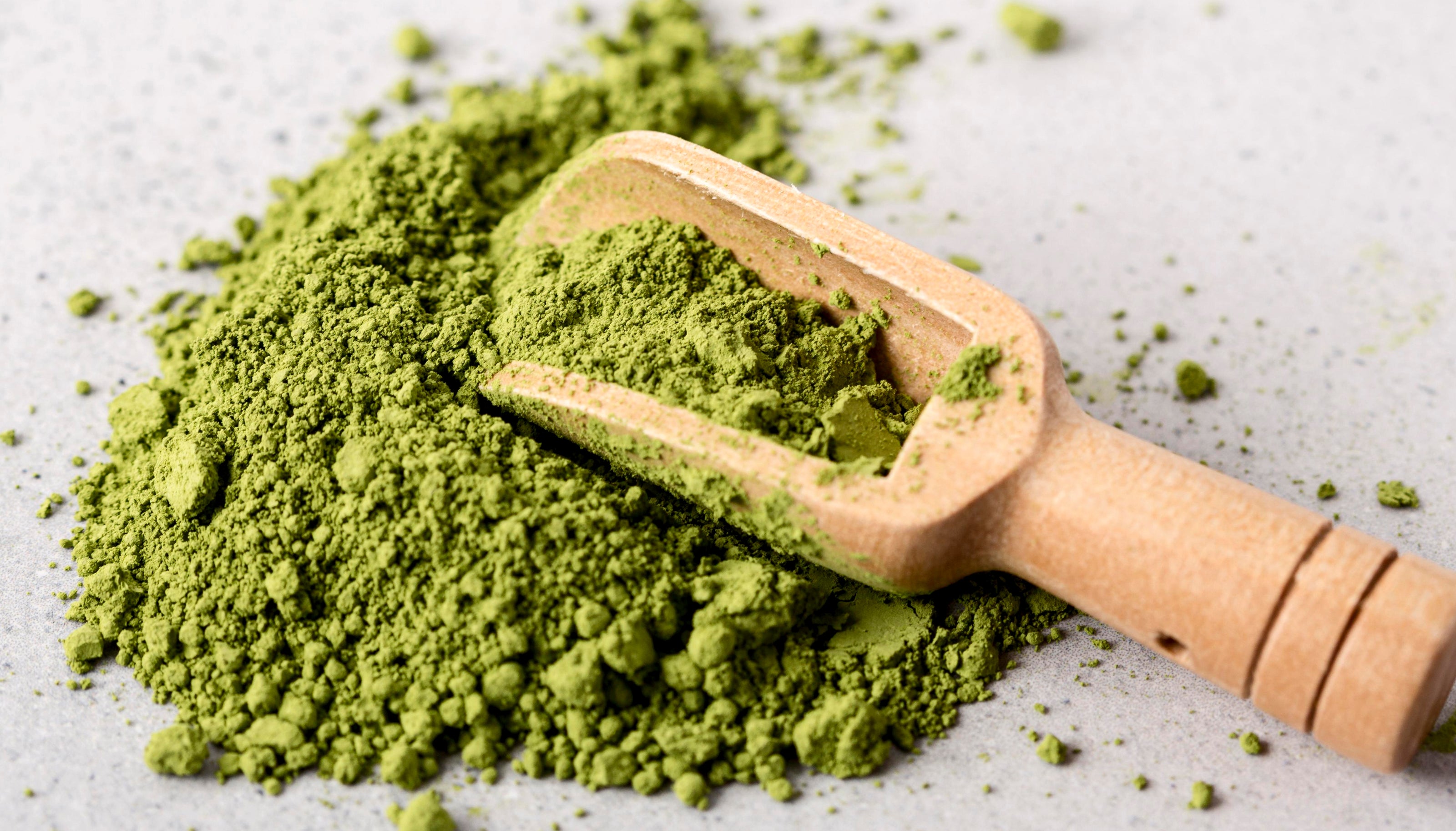 Wooden scoop filled with organic moringa powder on a light grey surface